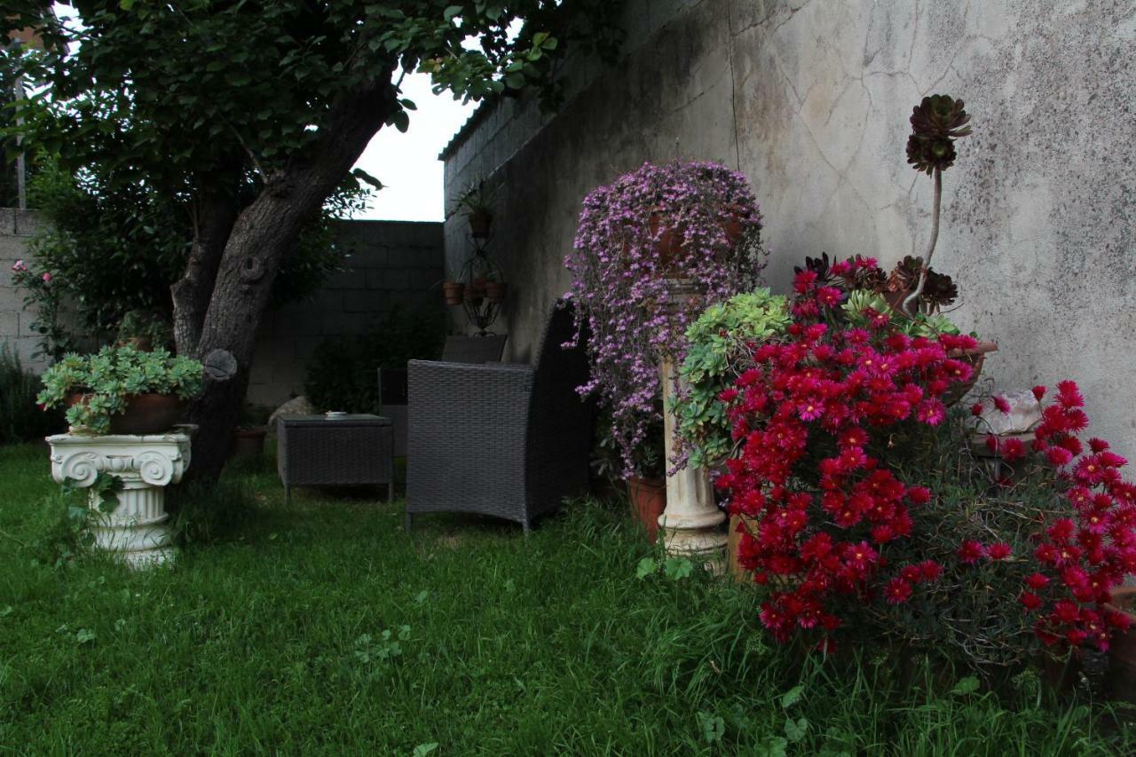 Bed and Breakfast Zia Chiarina San Nicolo Gerrei Exterior foto